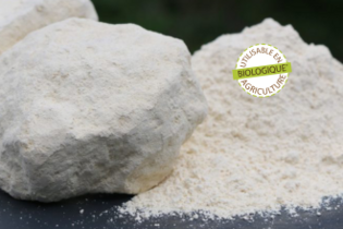 carbonate-de-calcium
