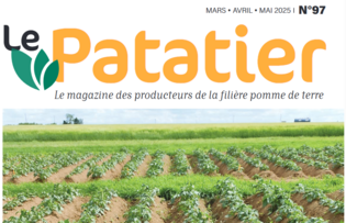 le-patatier