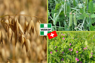 melange-green-couv-veskof-vigne