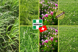 melange-green-prairie-24-plus