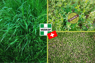 melange-green-prairie-billion-ap-17