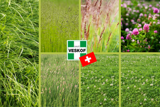 melange-green-prairie-famosa-44