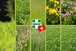 melange-green-prairie-famosa-45