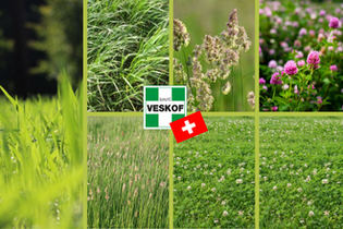 melange-green-prairie-tarda-33