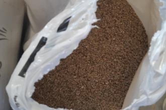 vermiculite-expansee